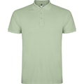 Heren Polo Star Roly PO6638 Misty Green